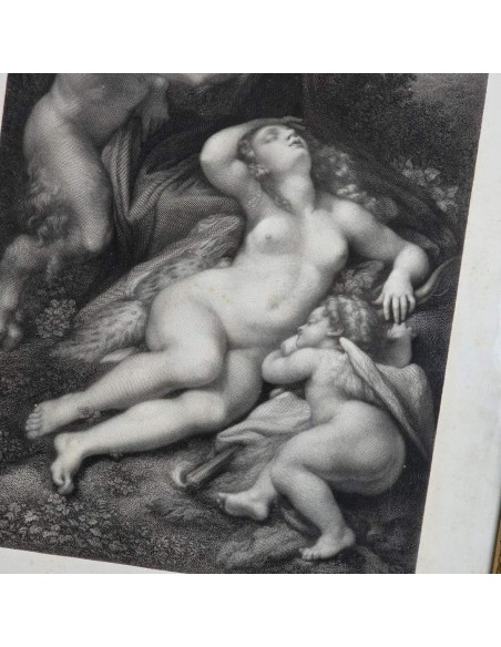 LE SOMMEIL D'ANTIOPE