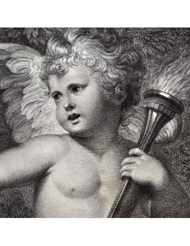 CLYTIE - La Ninfa Clizia