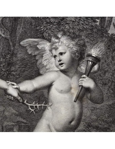 CLYTIE - La Ninfa Clizia