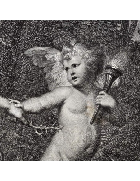 CLYTIE - La Ninfa Clizia