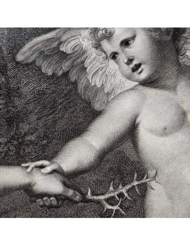 CLYTIE - La Ninfa Clizia