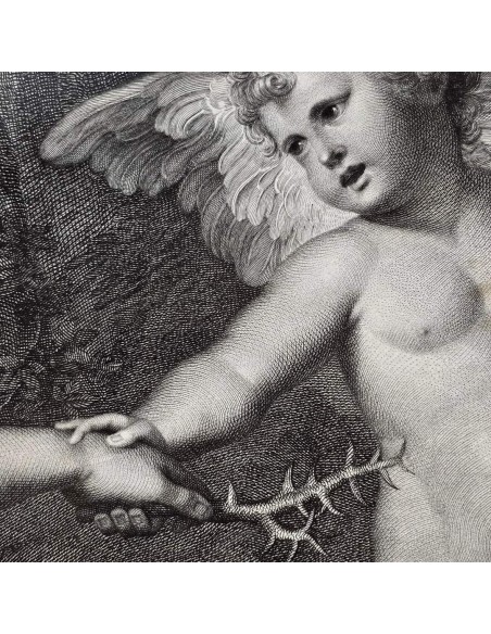CLYTIE - La Ninfa Clizia