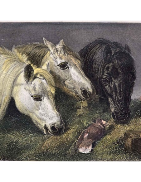 IL PASTO DEI CAVALLI