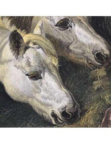 IL PASTO DEI CAVALLI
