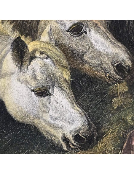 IL PASTO DEI CAVALLI