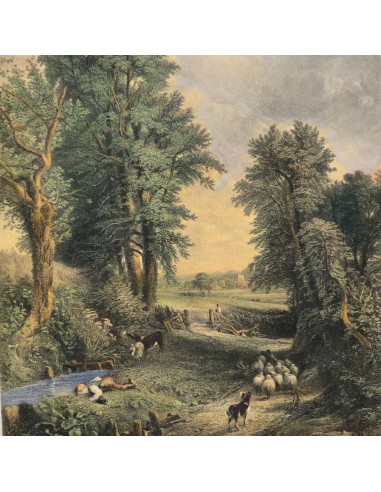 PAESAGGIO CON PASTORELLO