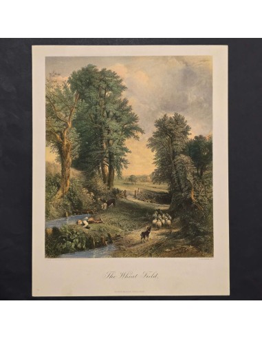 PAESAGGIO CON PASTORELLO
