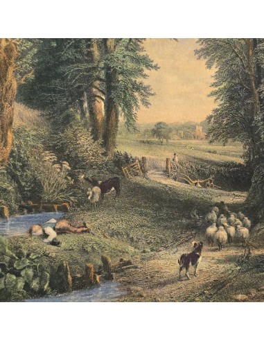 PAESAGGIO CON PASTORELLO