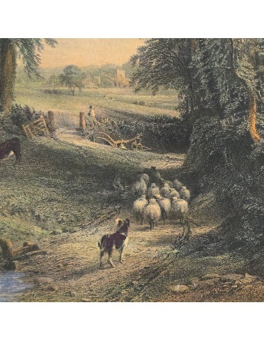 PAESAGGIO CON PASTORELLO