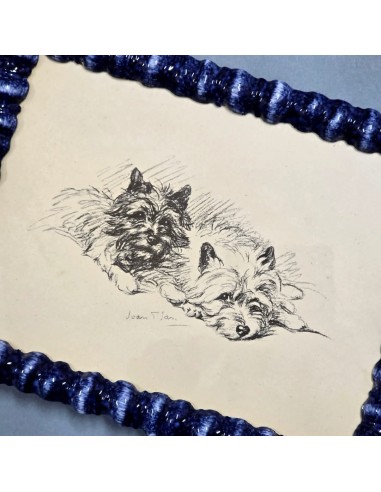 DOGS di LUCY DAWSON