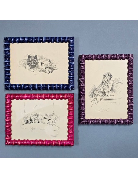 DOGS di LUCY DAWSON