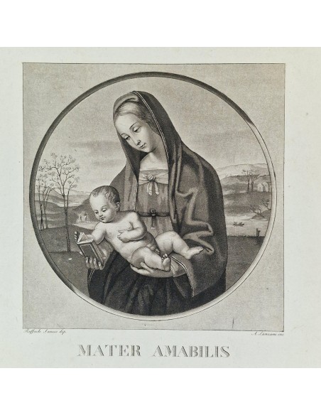 MATER AMABILI