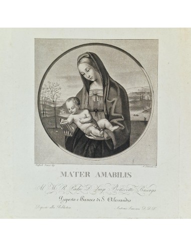 MATER AMABILI