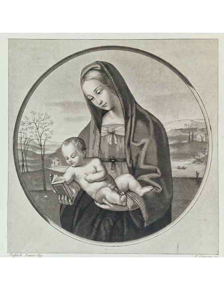 MATER AMABILI
