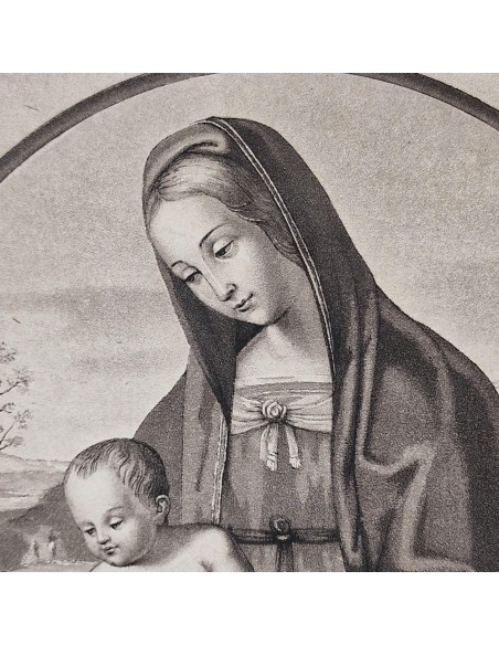 MATER AMABILI