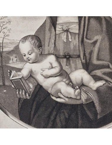 MATER AMABILI