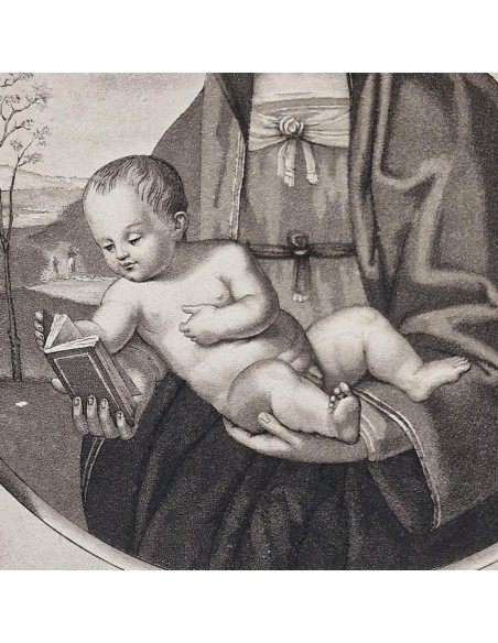 MATER AMABILI