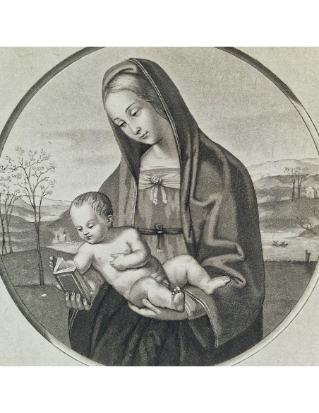 MATER AMABILI