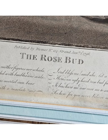 THE ROSE BUD - THE SENSITIVE PLANT