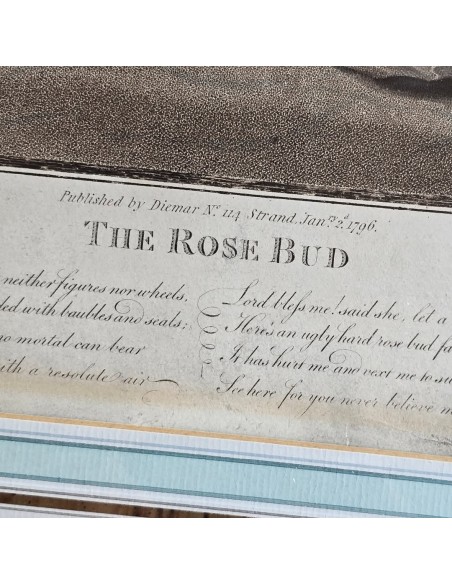 THE ROSE BUD - THE SENSITIVE PLANT