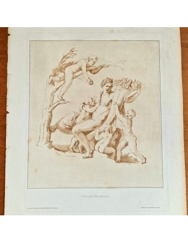 LA CORNUCOPIA DELL'ABBONDANZA