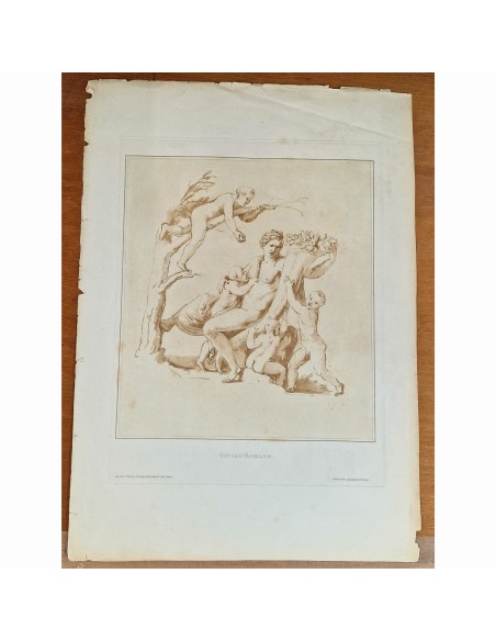 LA CORNUCOPIA DELL'ABBONDANZA