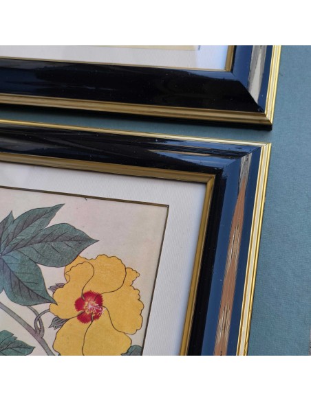 FIORI GIAPPONESI IN NERO