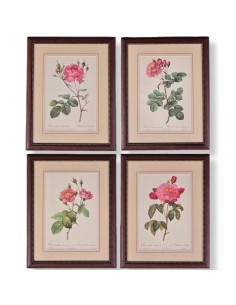 ROSE REDOUTE IN LEGNO
