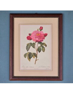 ROSE REDOUTE IN LEGNO 2