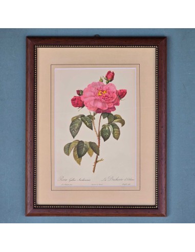 ROSE REDOUTE IN LEGNO