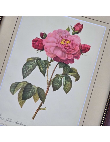 ROSE REDOUTE IN LEGNO