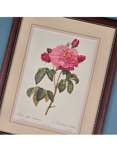 ROSE REDOUTE IN LEGNO