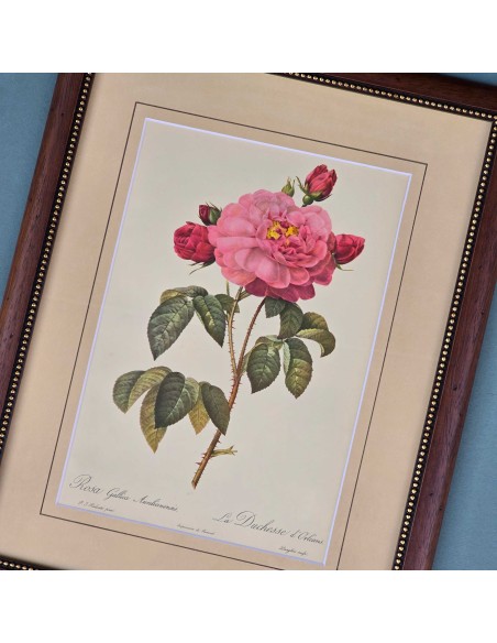 ROSE REDOUTE IN LEGNO