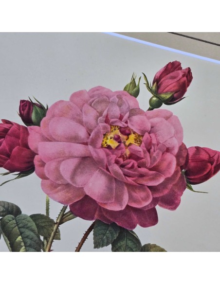 ROSE REDOUTE IN LEGNO