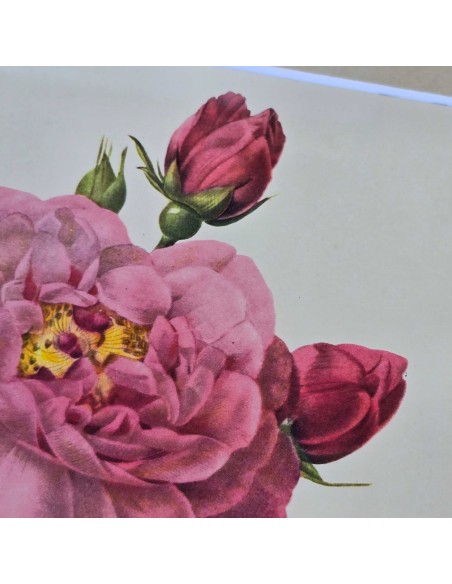 ROSE REDOUTE IN LEGNO