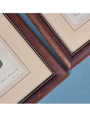 ROSE REDOUTE IN LEGNO