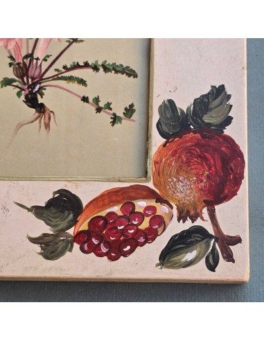 BOTANICA PROVENZALI