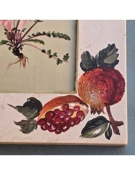 BOTANICA PROVENZALI