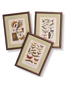 FARFALLE in legno