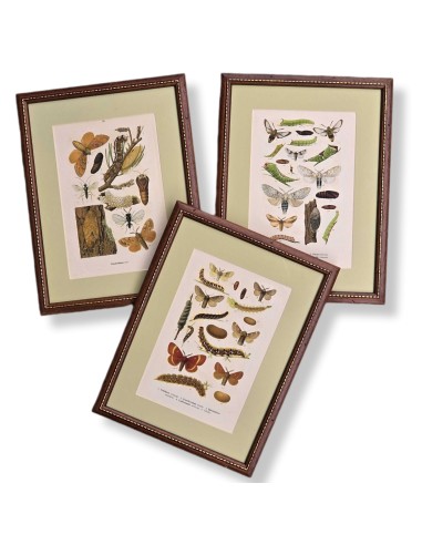 FARFALLE in legno