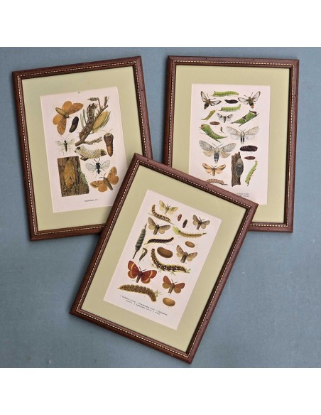 FARFALLE in legno