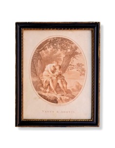 VENUS & ADONIS