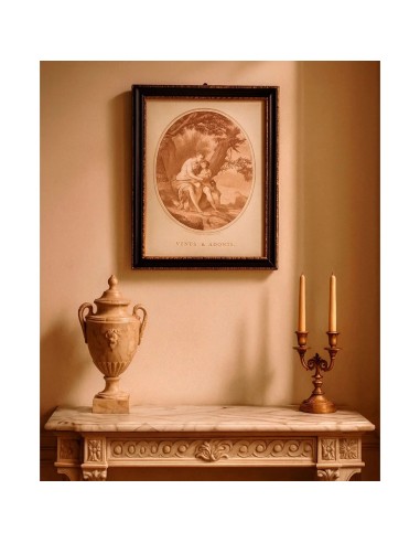 VENUS & ADONIS