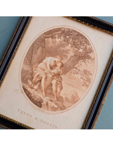 VENUS & ADONIS