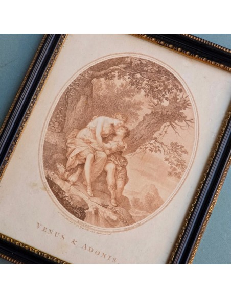 VENUS & ADONIS