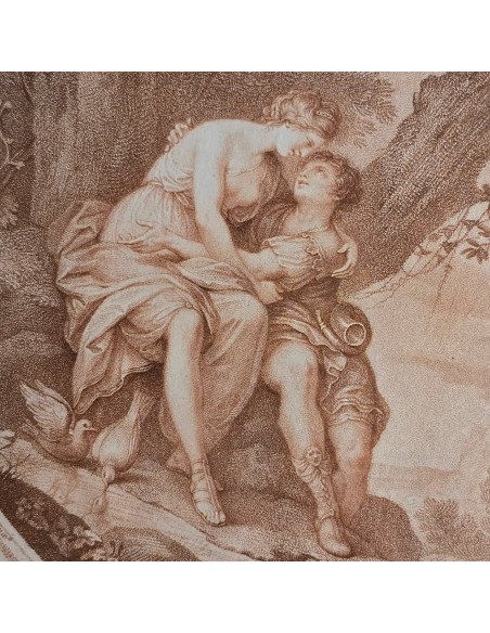 VENUS & ADONIS