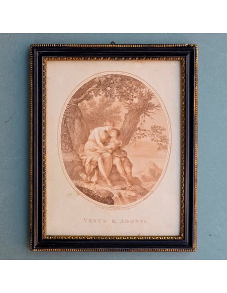 VENUS & ADONIS
