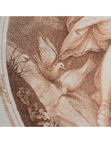 VENUS & ADONIS