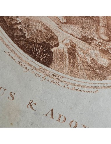 VENUS & ADONIS