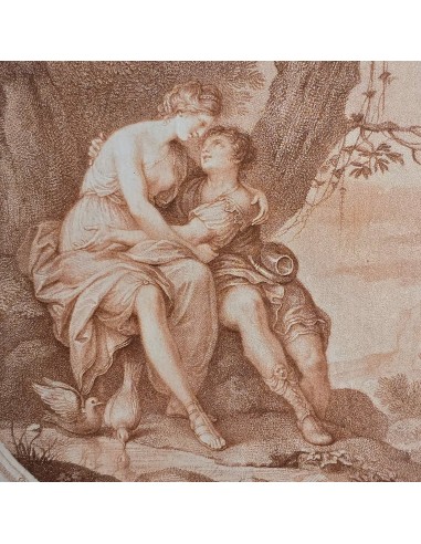 VENUS & ADONIS